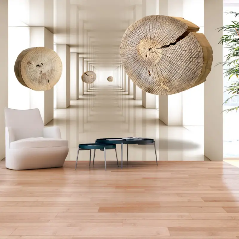 Acheter Direct Zelfklevend fotobehang - Flying Discs of Wood - 245x175