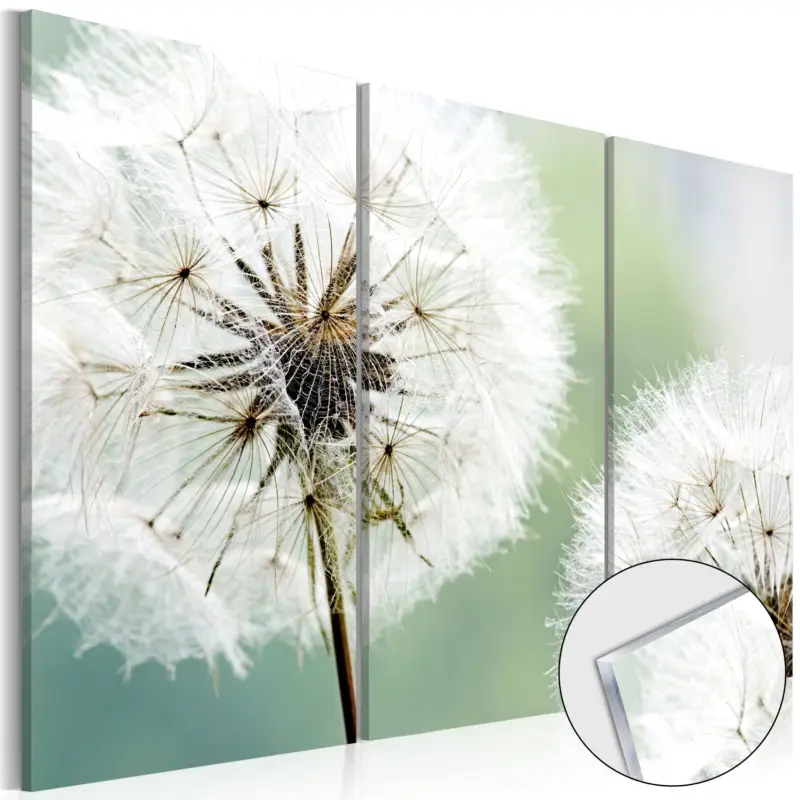Produit De Marque Plexiglas schilderij - Fluffy Dandelions [Acrylglas] - 120x80
