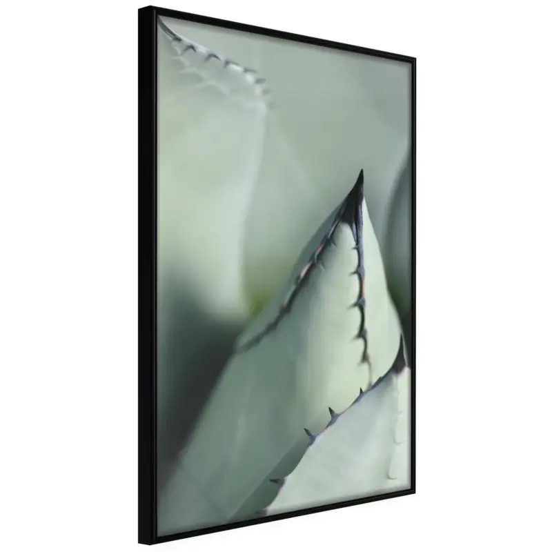 Vente Flash Poster - Young Leaf of Agave - zwart - 30x45