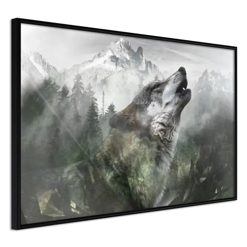 Vente Flash Poster - Wolf's Territory - zwart - 30x20