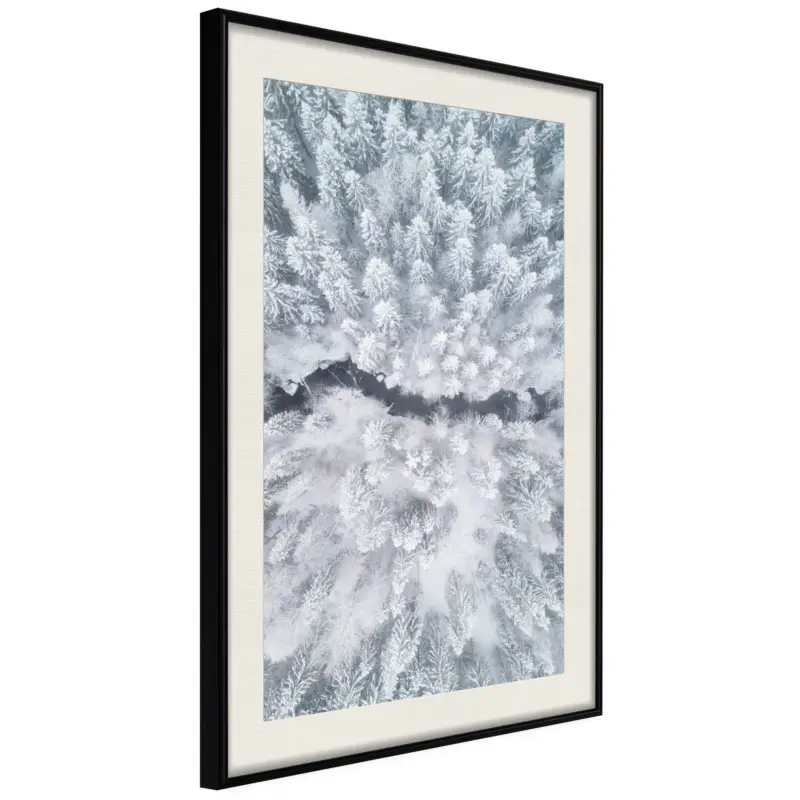 Vente Flash Poster - Winter Forest From a Bird's Eye View - zwart passepartout - 30x45