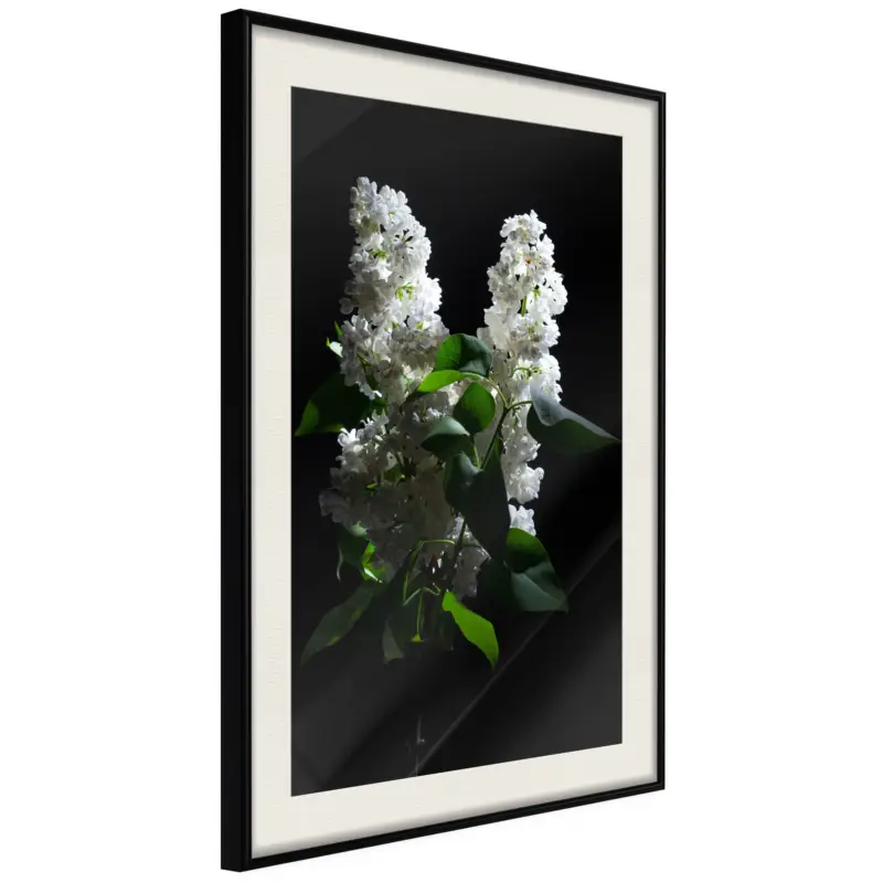 Vente Flash Poster - White Lilac - zwart passepartout - 20x30