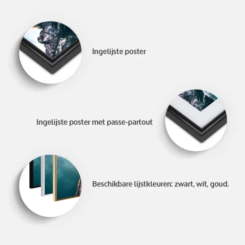 Vente Flash Poster - Unripe Pineapple - zwart passepartout - 60x90