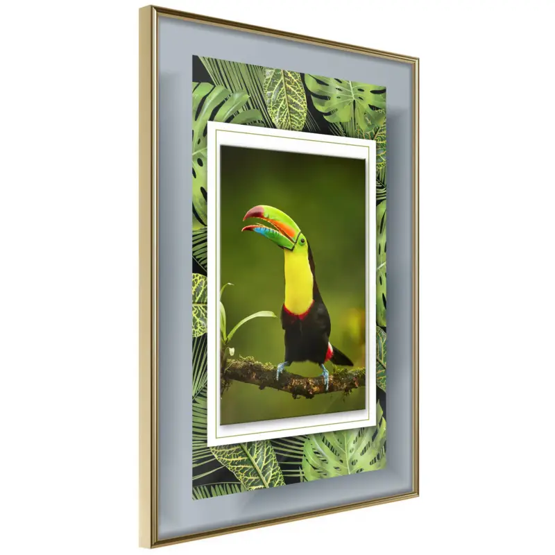 Achat Immédiat Poster - Toucan in the Frame - goud - 40x60