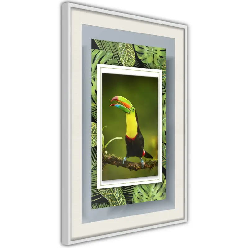 Vente Flash Poster - Toucan in the Frame - wit passepartout - 30x45