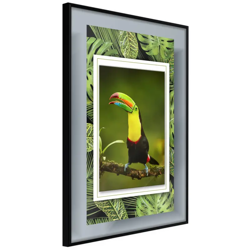 Vente Flash Poster - Toucan in the Frame - zwart - 40x60