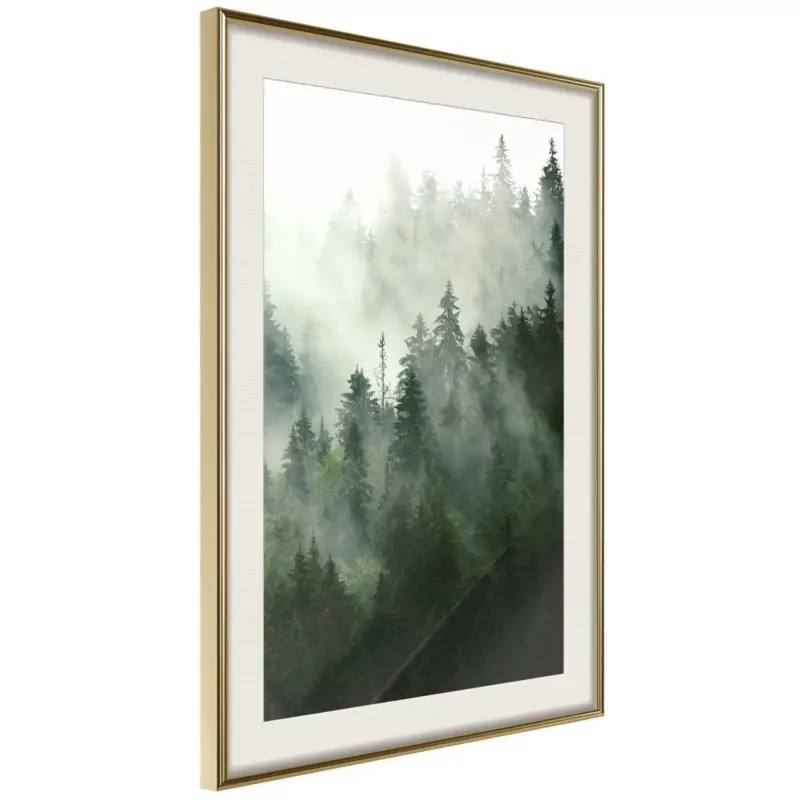 Vente Flash Poster - Steaming Forest - goud passepartout - 40x60
