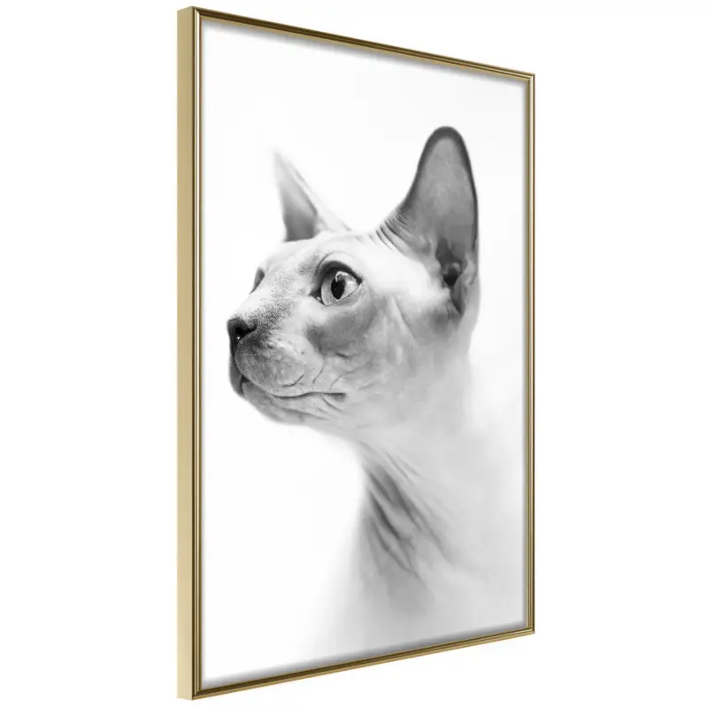 Achat Immédiat Poster - Sphinx - goud - 40x60