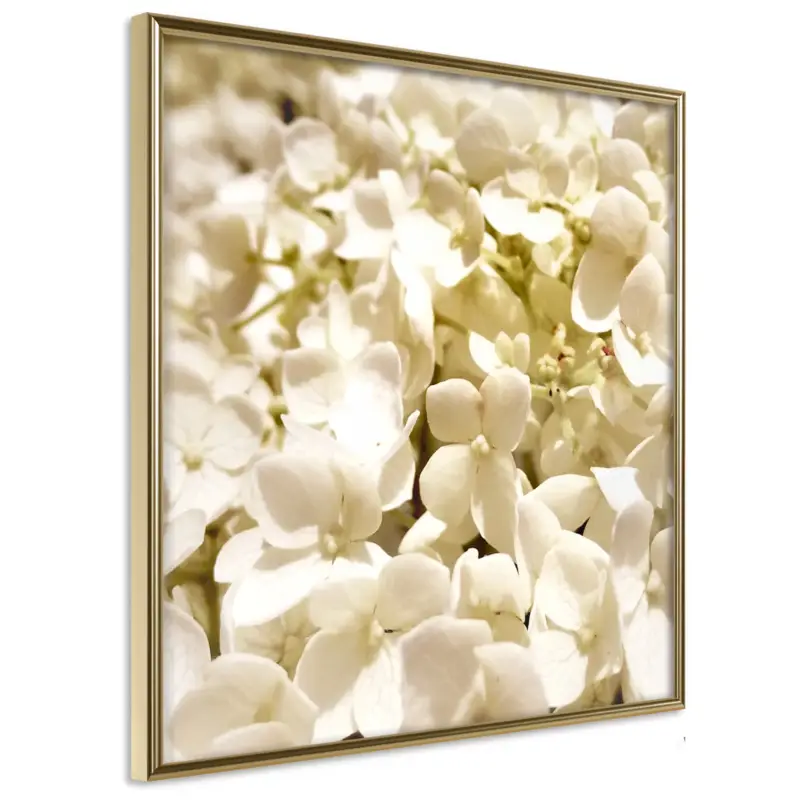 Achat Immédiat Poster - Soothing Flowers - goud - 30x30