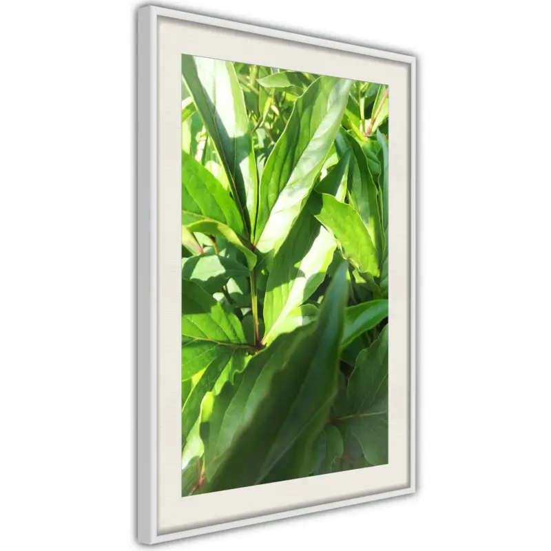 Achat Immédiat Poster - Somewhere in the Garden - wit passepartout - 40x60