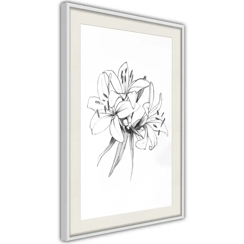Achat Immédiat Poster - Sketch of Lillies - wit passepartout - 40x60
