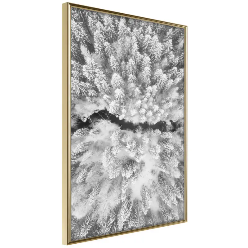 Vente Flash Poster - Frost Land - goud - 40x60