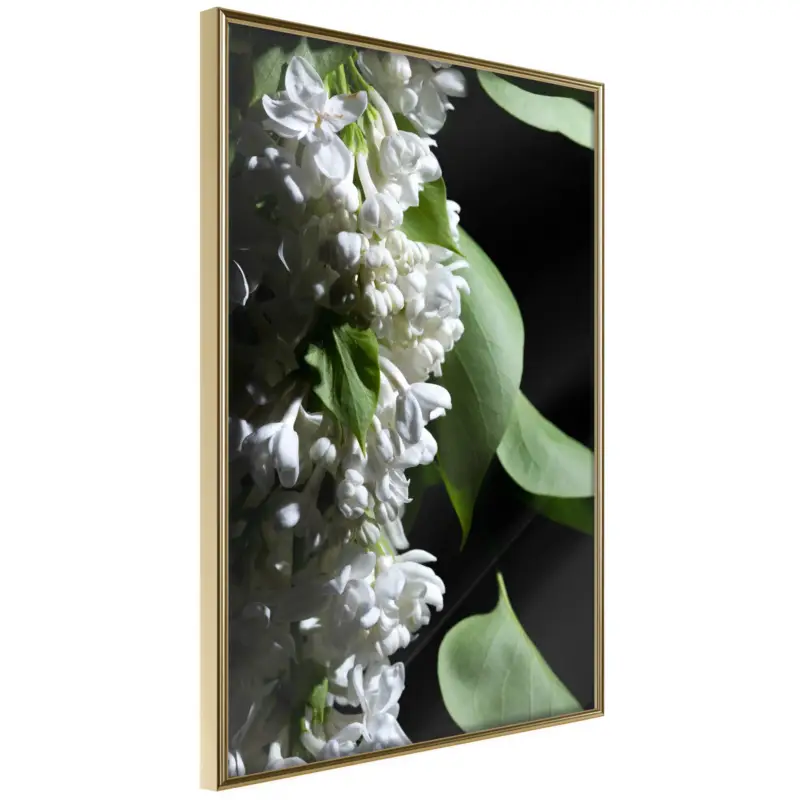 Vente Flash Poster - Fragrant Spring - goud - 20x30
