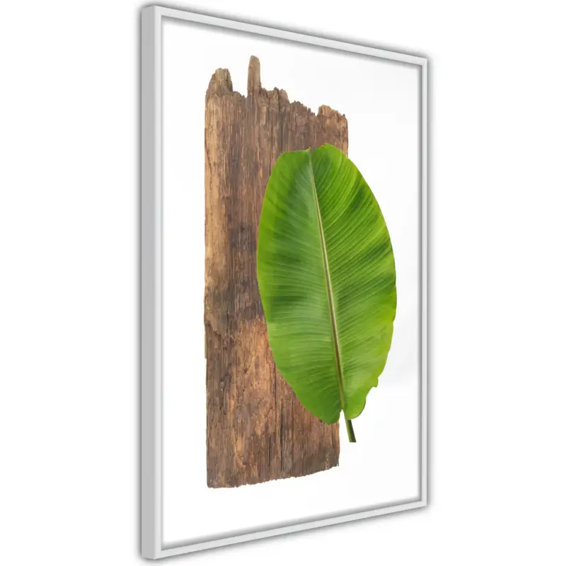 Achat Immédiat Poster - Forest Nature - wit - 20x30