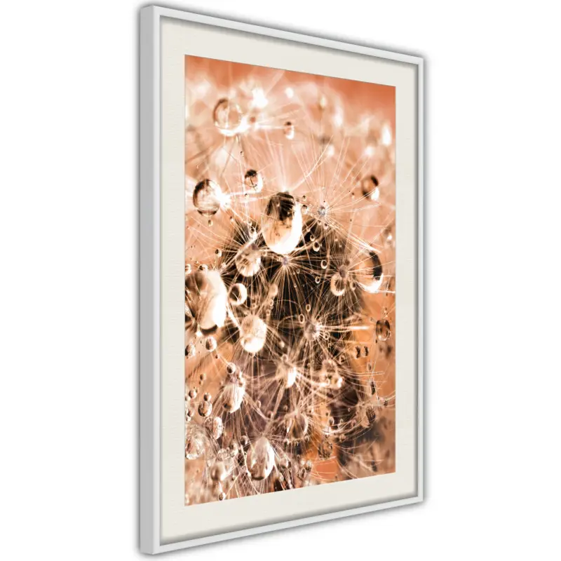 Vente Flash Poster - Drops on Dandelion - wit passepartout - 30x45