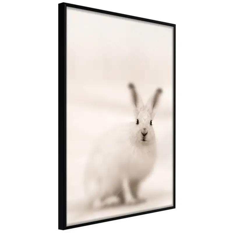 Achat Immédiat Poster - Curious Rabbit - zwart - 20x30