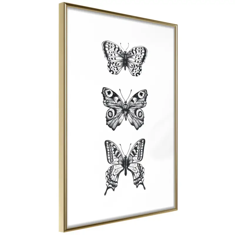 Vente Flash Poster - Butterfly Collection III - goud - 40x60