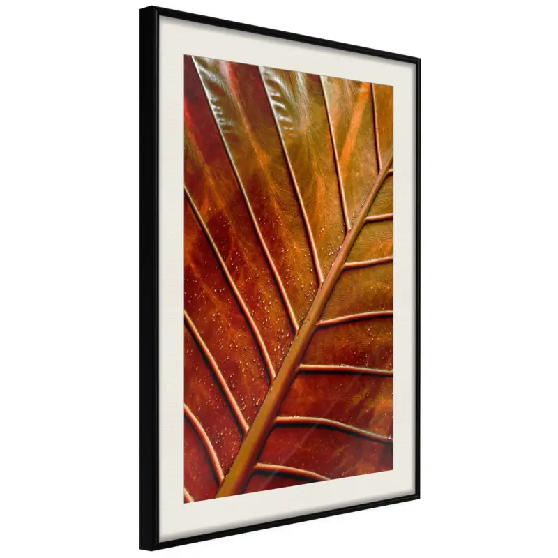 Achat Immédiat Poster - Bronze Leaf - zwart passepartout - 40x60