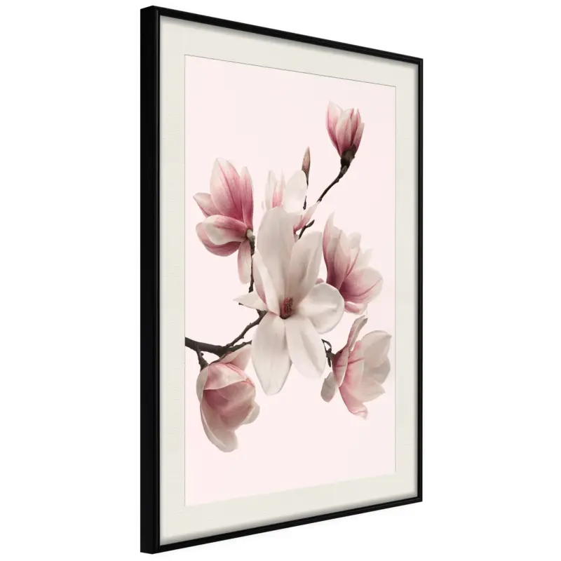 Achat Immédiat Poster - Blooming Magnolias I - zwart passepartout - 20x30