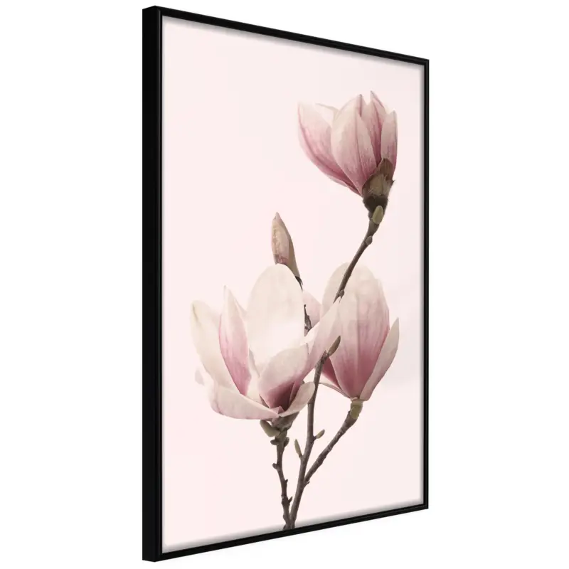 Vente Flash Poster - Blooming Magnolias III - zwart - 30x45