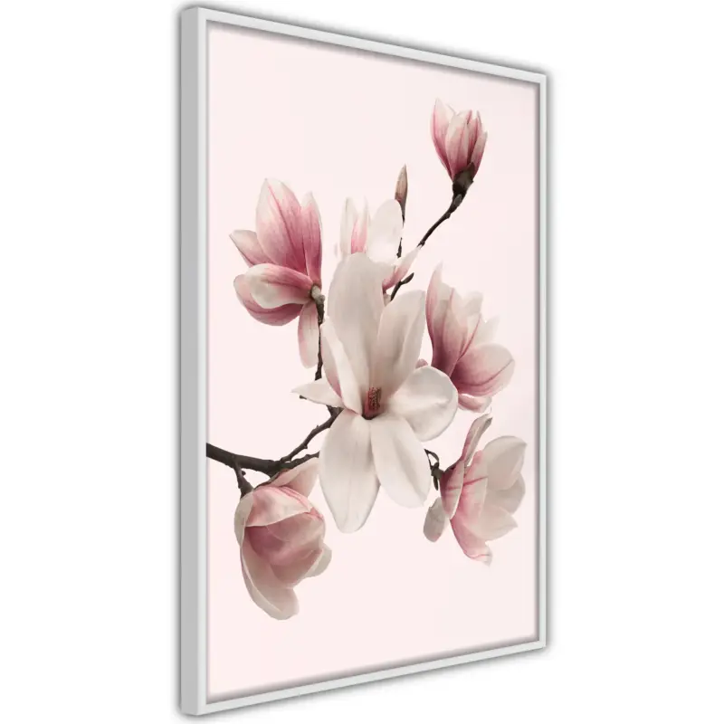 Vente Flash Poster - Blooming Magnolias I - wit - 30x45