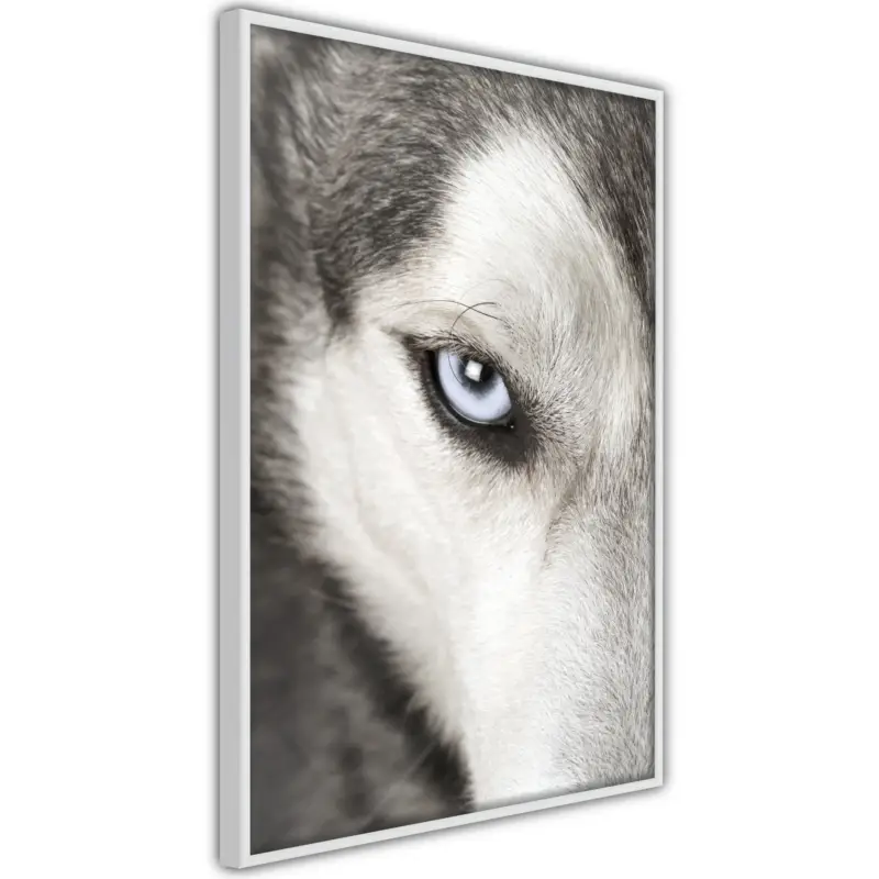 Vente Flash Poster - Azure Eye - wit - 40x60