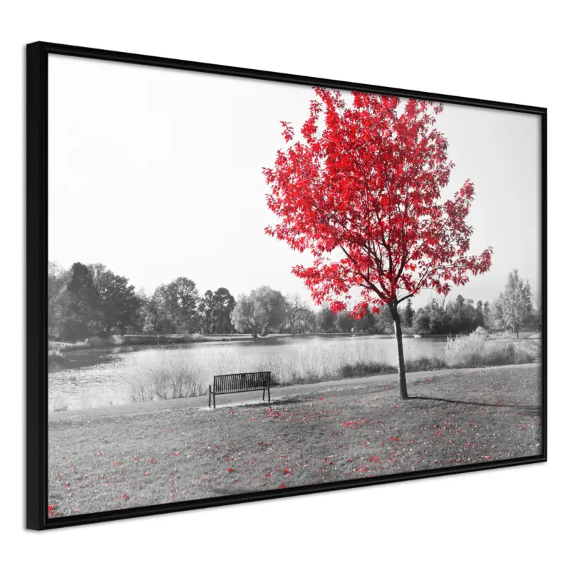 Acheter Direct Poster - Autumn Colours I - zwart - 90x60