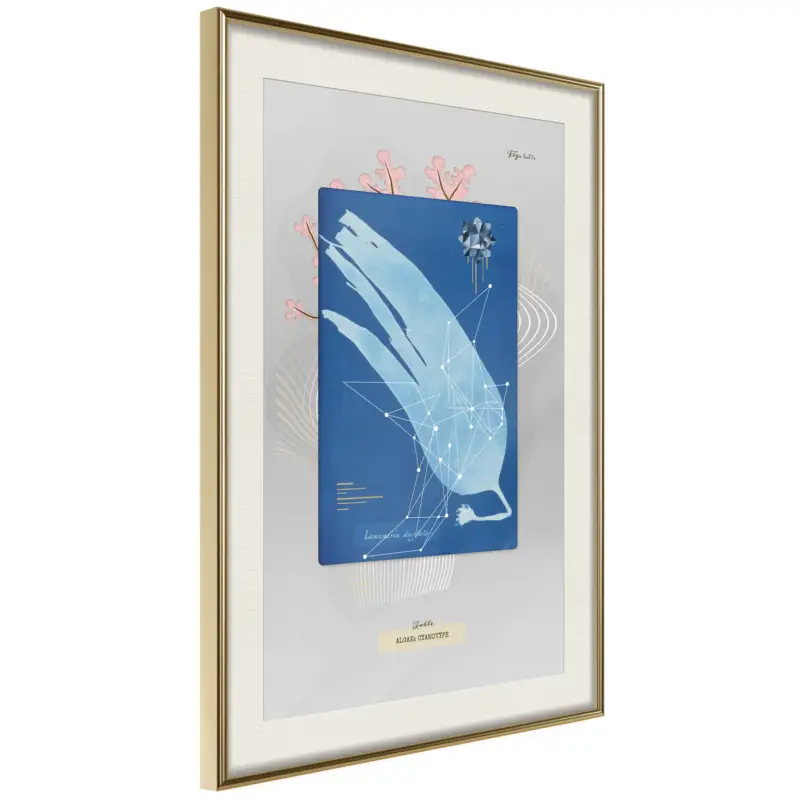 Acheter Direct Poster - Alga Cyanotype - goud passepartout - 40x60