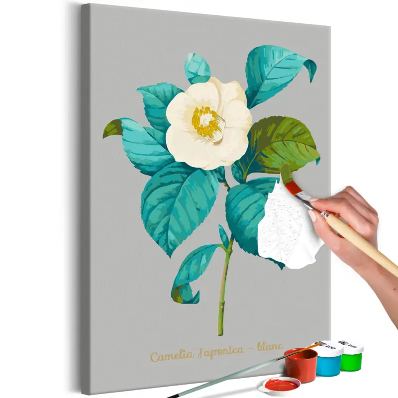 Solde Doe-het-zelf op canvas schilderen - Beautiful Camellia - 40x60