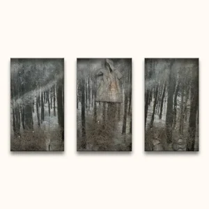 Achat Immédiat Anselm Kiefer - Karfunkel Wald - 25x40cm (x 3 stuks)