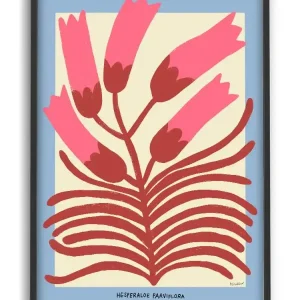 PSTR studio - Madelen - Hesperaloe Parviflora Soldes