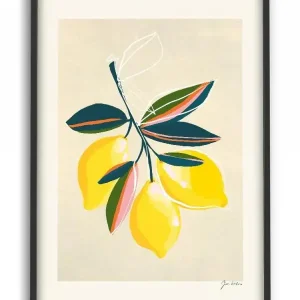 Top Vente PSTR studio - Zoe - Lemons