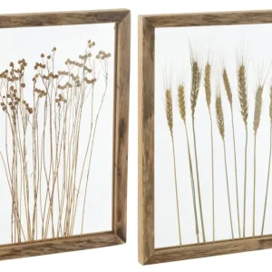 J-Line wanddecoratie Graan - dennenhout|glas - transparant|b Must-Have