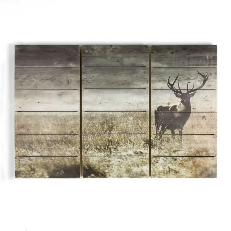 Jusqu’à Épuisement Des Stocks Art for the Home Print op Hout Set van 3 Highland Hert 60x90 cm
