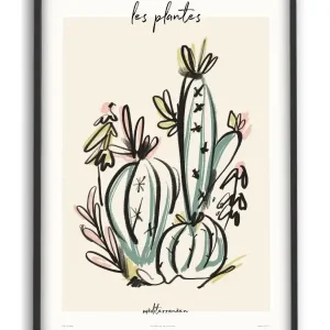 Prix Choc PSTR studio - Zoe - Les Plantes - Méditerranéen