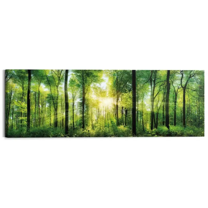 Super Prix Schilderij Zomer bos - 40 x 118 - Groen