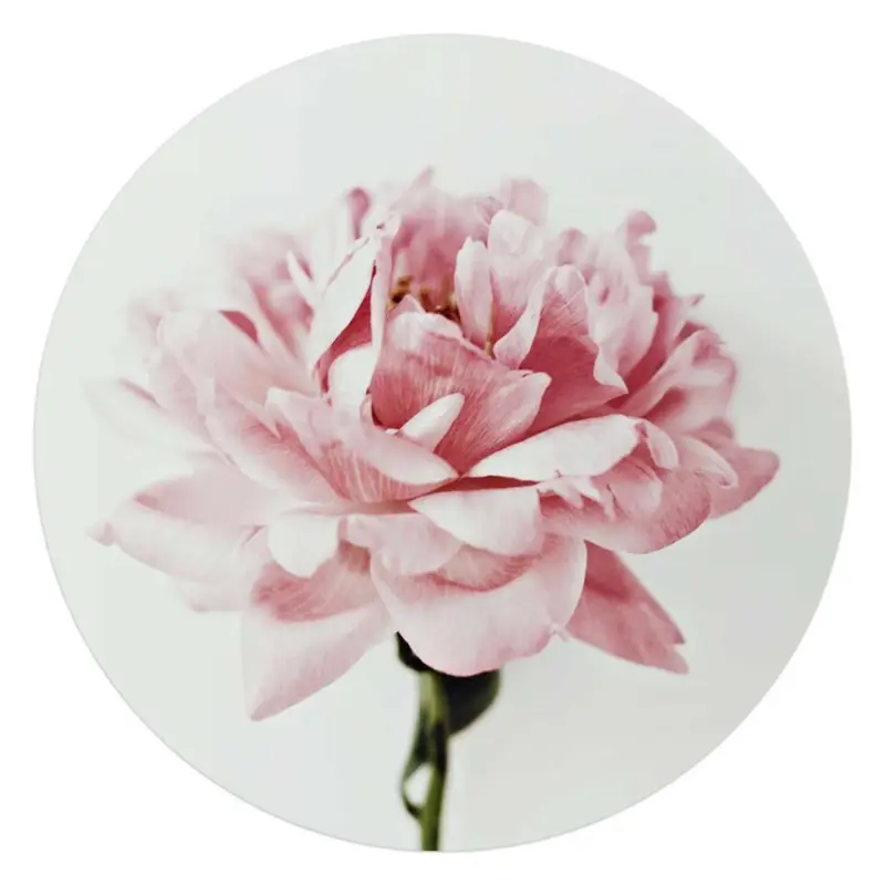 Dernier Modèle Glasschilderij Pioenroos - Ø 70 - Roze