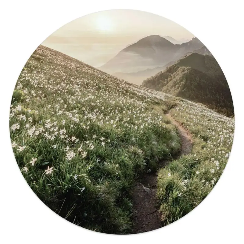 Affaire À Saisir Glasschilderij Bergbloei in de ochtendzon - Ø 50 - Groen