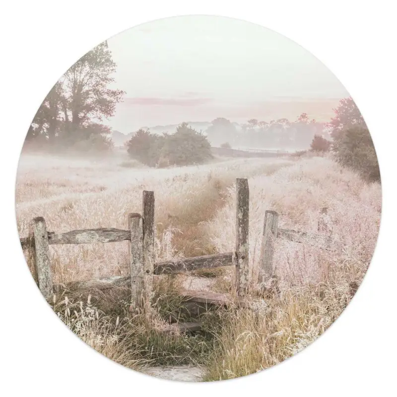 Acheter Direct Glasschilderij Ochtenddauw in de weide - Ø 50 - Beige