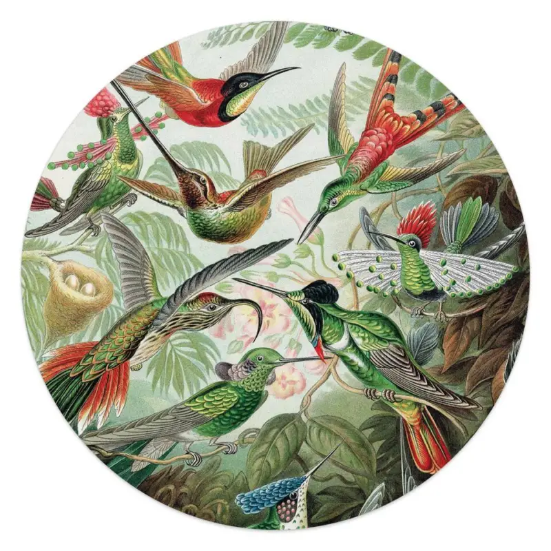 Achat Immédiat Plexiglasschilderij Hummingbirds - Ø 50 - Groen