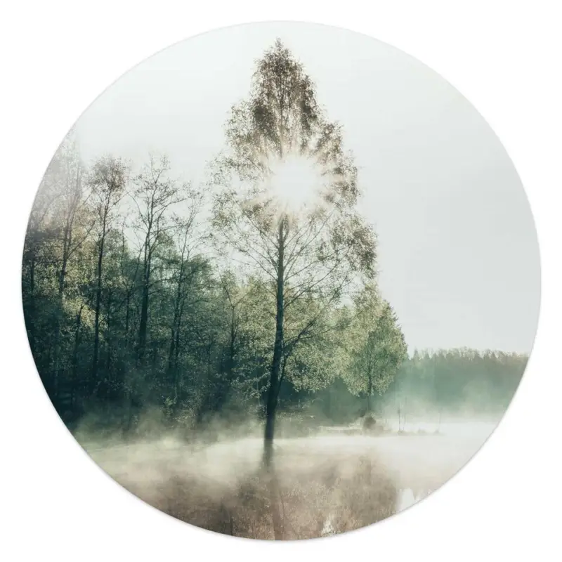 Solde Glasschilderij Zon door de boom - Ø 50 - Groen