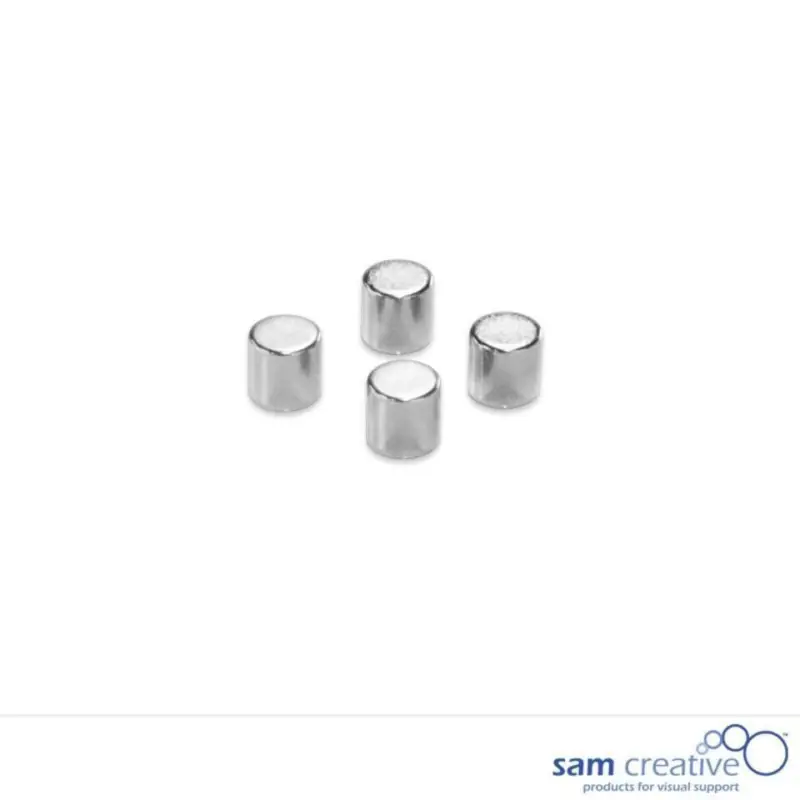 Nouveauté Metallic Magneten 10mm Cylinder zilver (4st)
