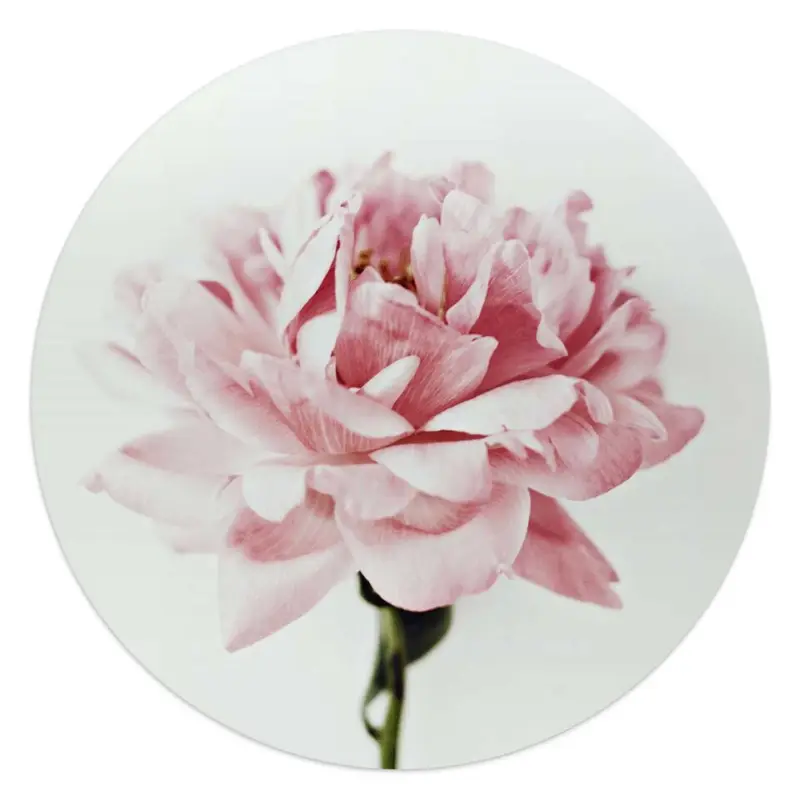 Top Vente Glasschilderij Pioenroos - Ø 50 - Roze