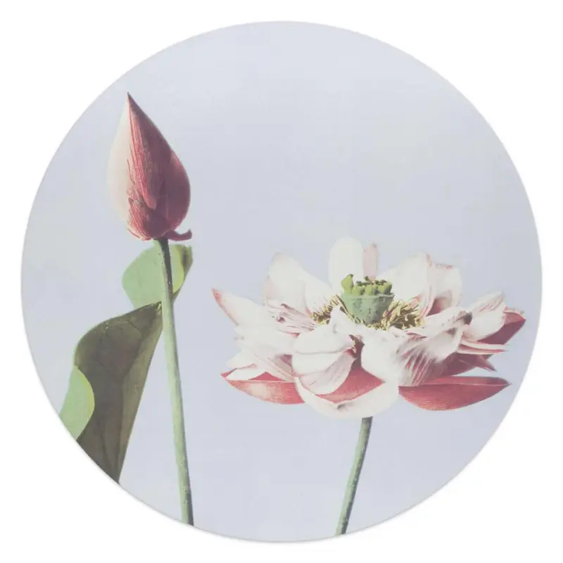 Top Vente Glasschilderij Elegante Bloem - Ø 50 - Roze