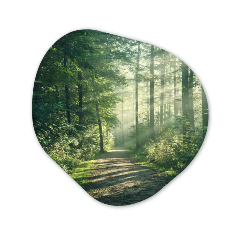 Remise Wandcirkel 90x90 cm Bos - Pad - Zon - Bomen - Groen - Natuur