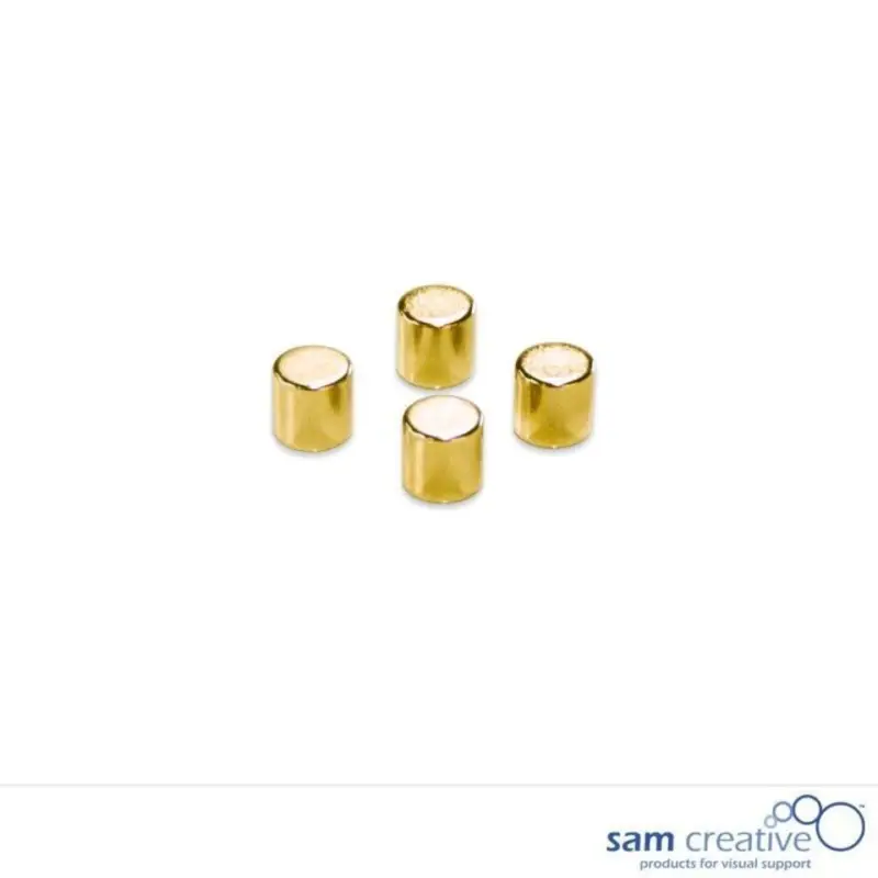 Super Prix Metallic Magneten 10mm Cylinder goud (4st)