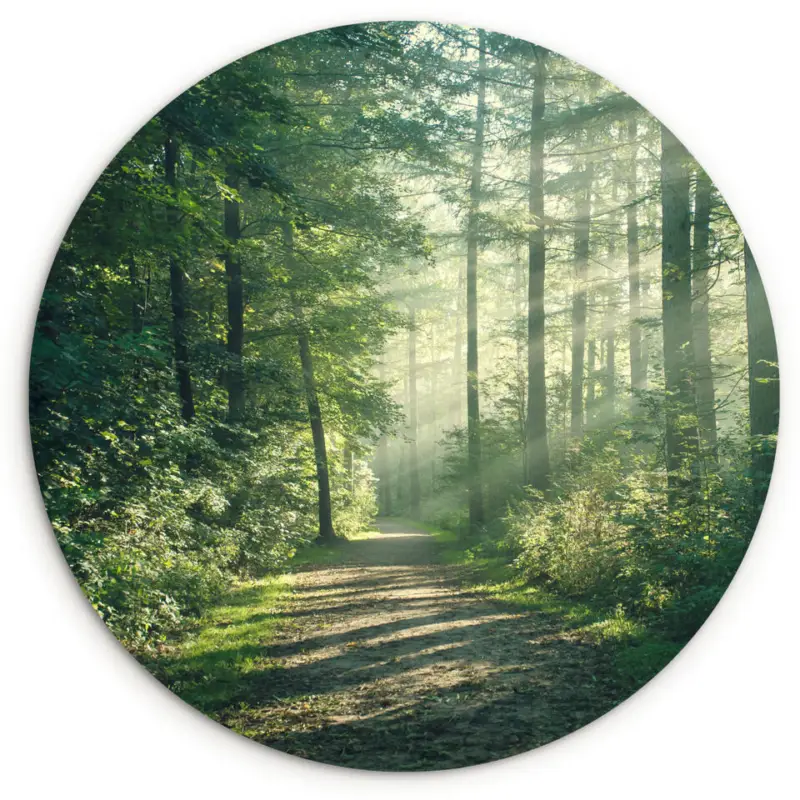 Wandcirkel 120x120 cm Bos - Pad - Zon - Bomen - Groen - Natuur Seulement Aujourd’hui