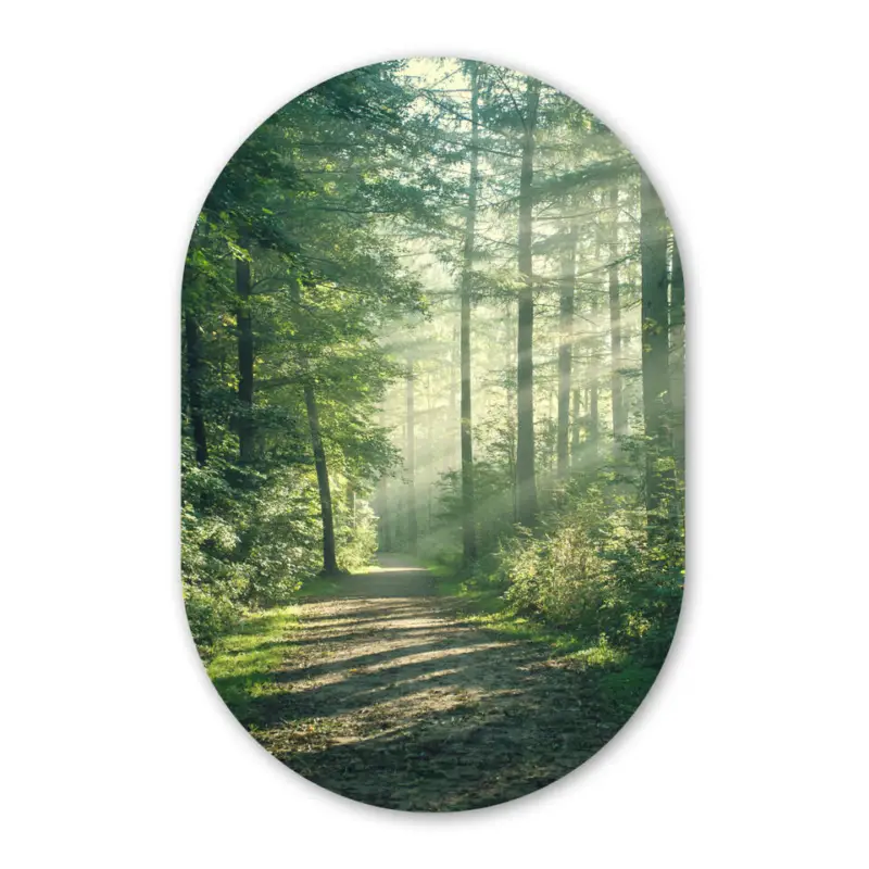 Wandcirkel 80x120 cm Bos - Pad - Zon - Bomen - Groen - Natuur Offre Limitée