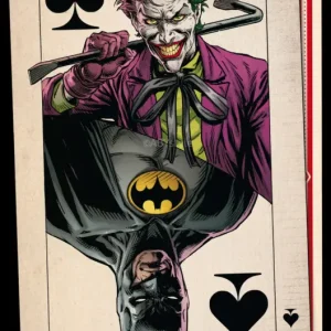 Poster DC Comics - Playing Card 61x91,5cm Prix Bas
