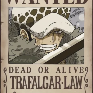 Meilleur Prix Poster One Piece - Wanted Law Wano 38x52cm